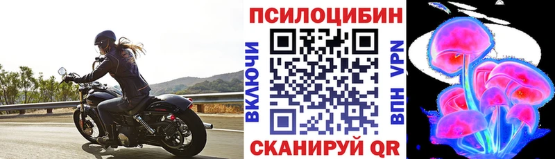 Купить закладки  Ильский  Галлюциногенные грибы мухоморы 